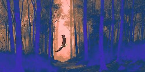 Ec(h)o - imaginarium & musique