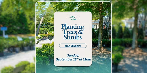 Planting Trees & Shrubs (Q&A)