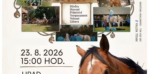 Valda k\u016f\u0148 a jeho ps\u00ed kousky