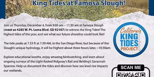 Experience the King Tides at Famosa Slough
