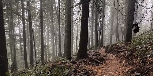 DIG DAY - Cascade Locks with Metropolis Cycle Repair and PDW