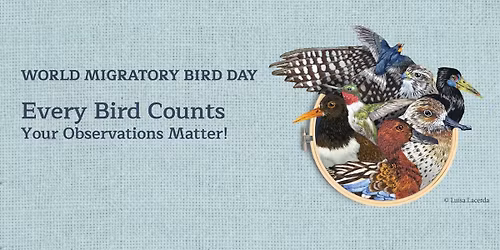 Twin Cities Bird Festival - Free