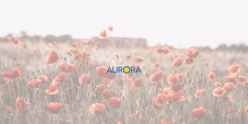 Remembrance Day at Aurora