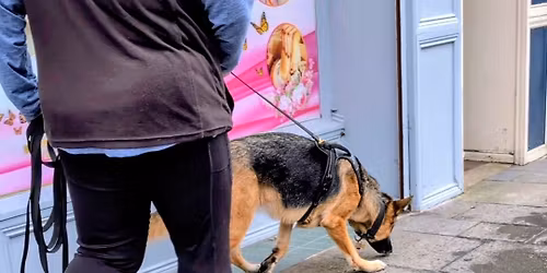 Trailing Foundations Course