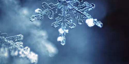 Special Winter Solstice Yoga