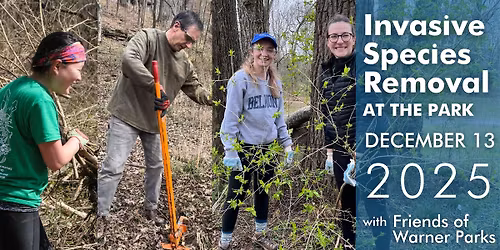 Invasive Species Removal at the Park