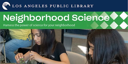 Tiny Terrariums: Earth Day Craft for Tweens & Teens