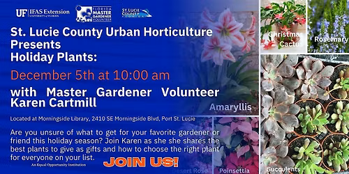 Holiday Plants for Gifts