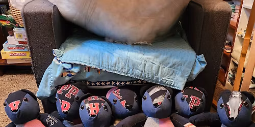 Sew a Memory Bear . Registration is done on the Website