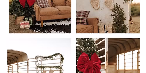 Holiday Mini Photoshoot with Mini Highland Cows