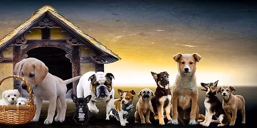 Valpekurs med oppstart i april 2026