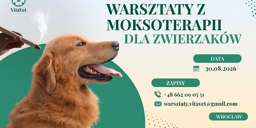 Jedyne w Polsce warsztaty MOKSY dla zwierz\u0105t! \ud83d\udd25
