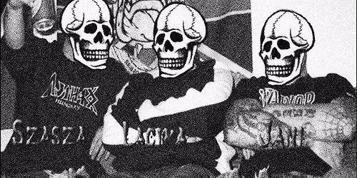 Divizi\u00f3 88 koncertet a Szigetre!