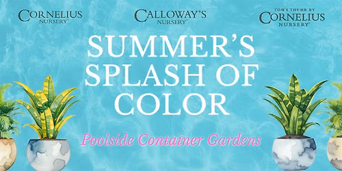 Summer\u2019s Splash of Color: Poolside Container Gardens