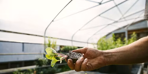 Plant Sale at Finley Farms