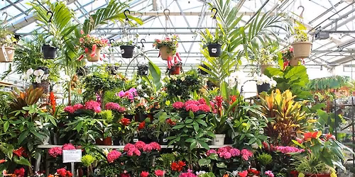 Workshop with The Organic Recycler: Soil Specialists