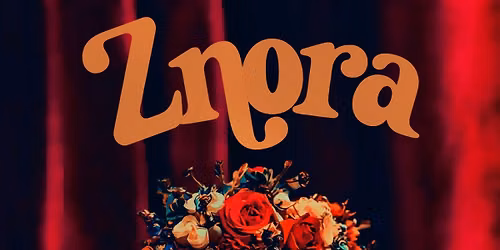 Znora Halloween Party