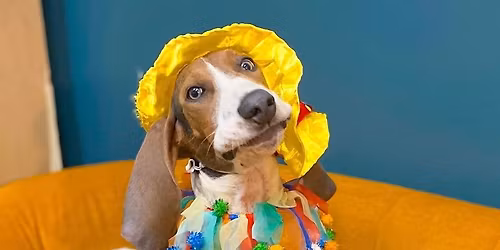 2025 Coonhound Carnival in OKC