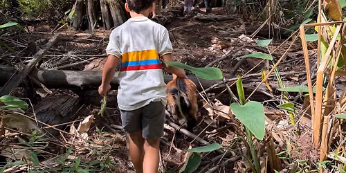 Wildlife Warriors: Wild Harvest Gathering 