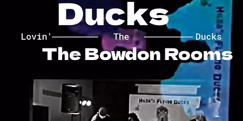 Hilda's Flying Ducks