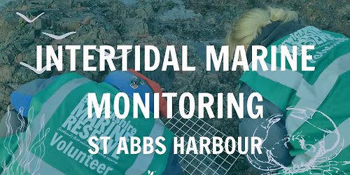 Intertidal Marine Monitoring - St Abbs
