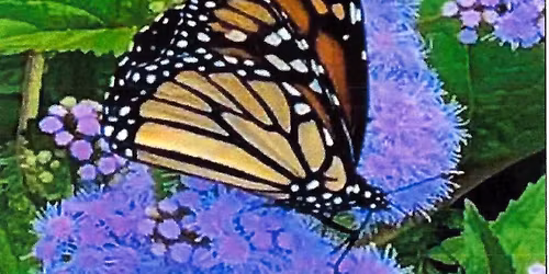 THE CARY GARDEN TOUR - "Beauty in Bloom, History on Display"