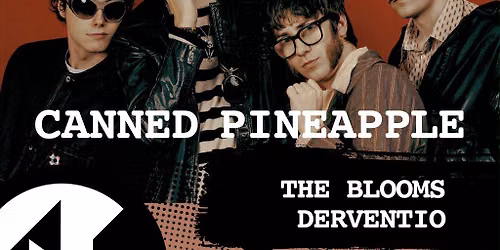Canned Pineapple + The Blooms + Derventio | The Indie Night