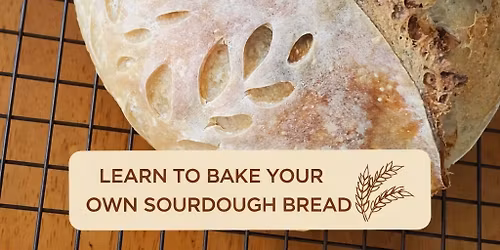 Beginner Sourdough Workshop 