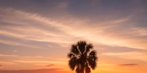 live gig at mothers north in Gainesville