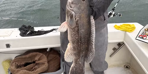 Limited 6 person open boat fishing Stamford Connecticut