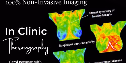 Thermography Scan