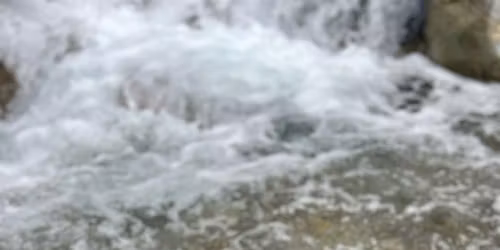 Author Talk with Sara Barnes