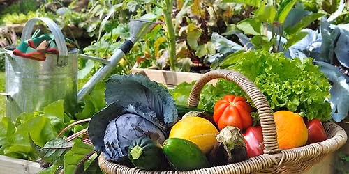 Grow and Cook Global Vegetables