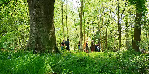 Quiet Pride: a free guided walk of NWT Sweet Briar Marshes