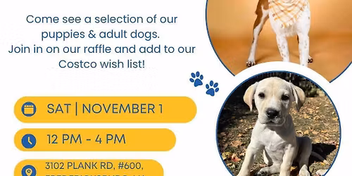 pop up Adoption Event and Donation Drive