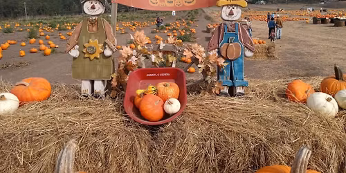 Silicon Valley VW Pumpkin run to Half Moon Bay Oct. 25th 2025
