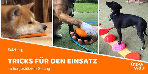 Tricks f\u00fcr den tiergest\u00fctzten Einsatz