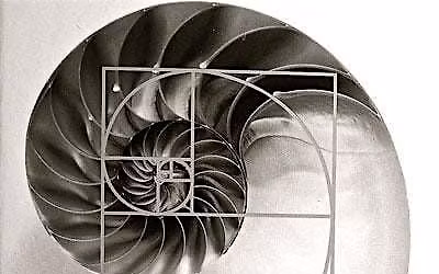 Sound Bath Hosted by Terra Stone