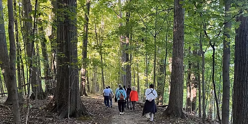 Wild Wanderers Hiking Club