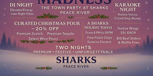 Holiday Madness 2025