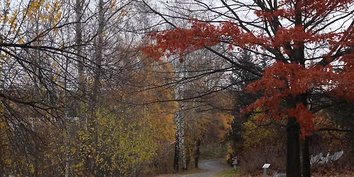 Regard d'automne - Sortie de photographie naturaliste au parc Lucien-Blanchard