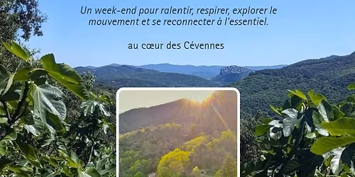 Parenth\u00e8se Yoga et Nature