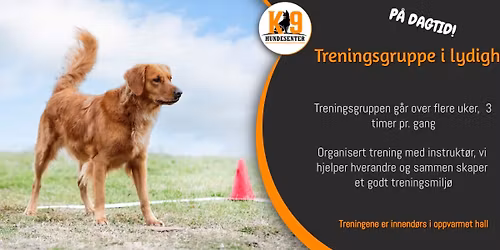 Treningsgruppe i lydighet - p\u00e5 dagtid