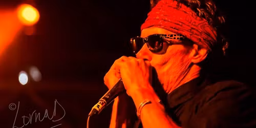 Derek Harper Benefit Concert - Woodstock Brewery ft The Johns + The Blue Jets & Guests