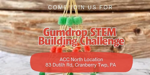 Cranberry: Gumdrop Stem Building Challenge