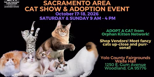 Come visit the fun Sacramento Area Cat Show & Adoption Event!
