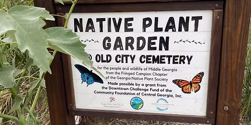 Mini-Workday at Old City Cemetery Native Plant Garden