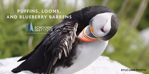 Puffins, Loons, and Blueberry Barrens with Schoodic Institute