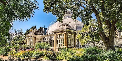 Palm House Showcase