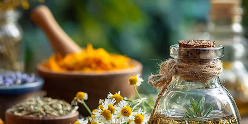 Root & Bloom: Nourishing the Body with Greens